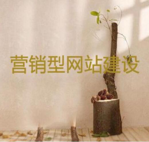 北京網(wǎng)站設計有利于人們進行正確的選擇